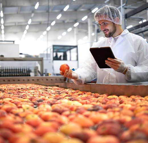 A worker in protective gear inspects a peach and holds a tablet while standing next to a conveyor belt filled with peaches in a processing facility.